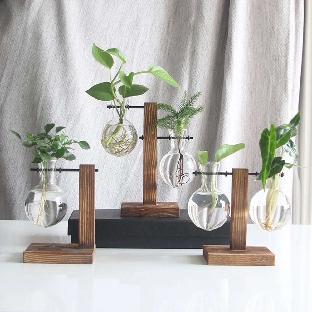 Vaso Decorativo - BioGlass: Sofisticação e Sustentabilidade em Uma Única Peça