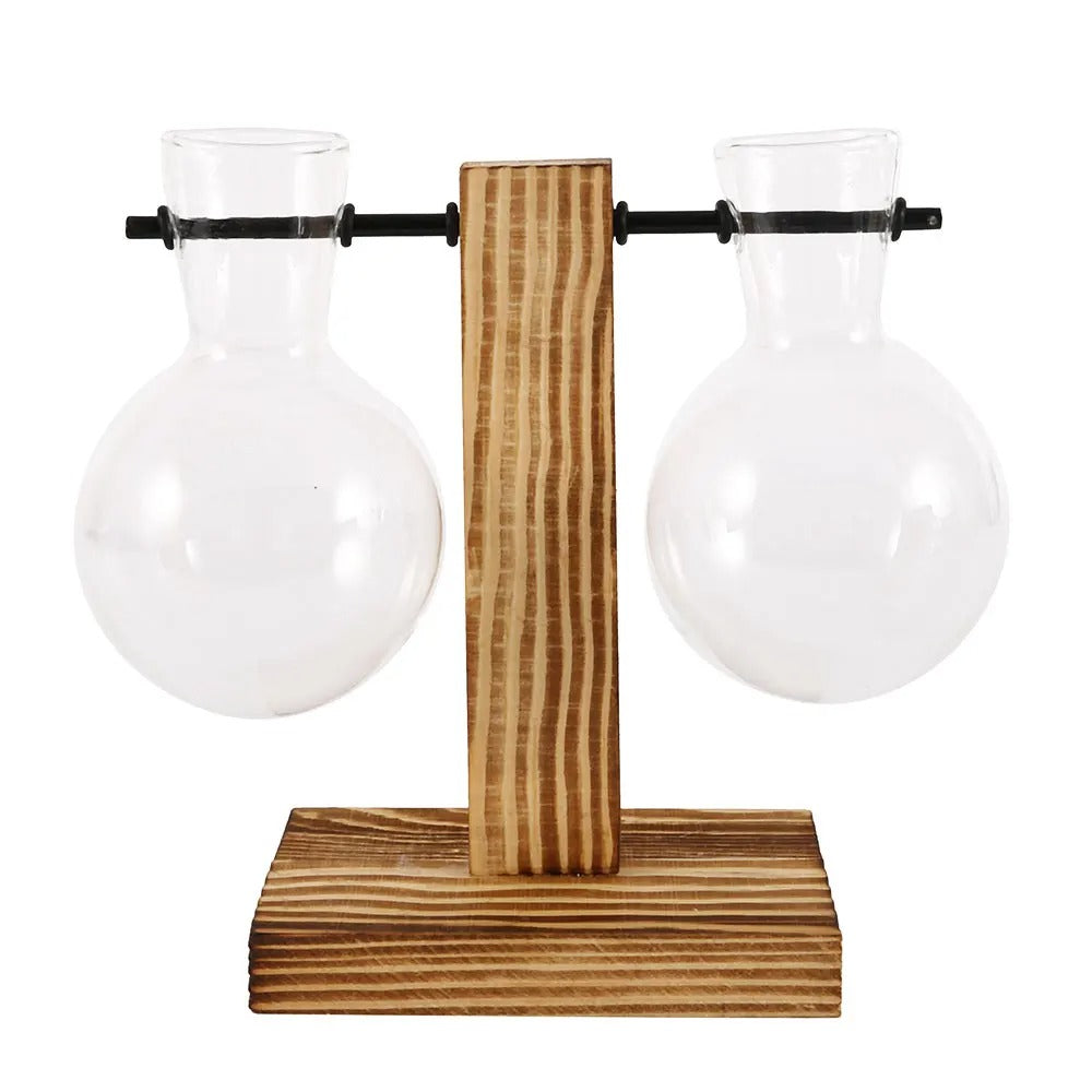 Vaso Decorativo - BioGlass: Sofisticação e Sustentabilidade em Uma Única Peça