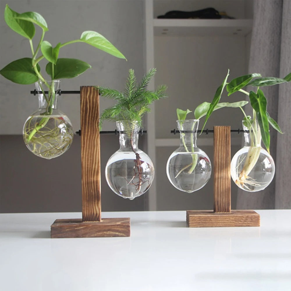 Vaso Decorativo - BioGlass: Sofisticação e Sustentabilidade em Uma Única Peça